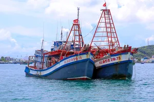 Vùng Cảnh sát biển 4 bắt 2 tàu chở dầu lậu trên biển