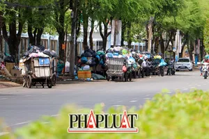 Cần Thơ: Giải quyết dứt điểm ô nhiễm môi trường tại các điểm tập kết rác thải tạm