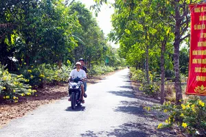 Tỉ lệ giải ngân chương trình mục tiêu quốc gia ở tỉnh Hậu Giang đạt cao 