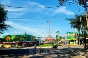 Chấp thuận cho tỉnh Hậu Giang chuyển đổi mục đích sử dụng 12,5 ha đất trồng lúa