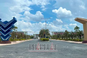 Công an tạm đình chỉ giải quyết vụ chia nhỏ gói thầu cây xanh ở TP Vị Thanh