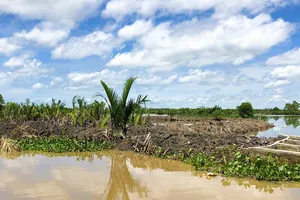 Tỉnh Kiên Giang xử phạt 3 trường hợp lấn chiếm đất ở đầm Đông Hồ