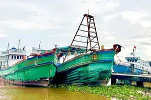 Tỉnh Cà Mau yêu cầu xử lý dứt điểm các trường hợp vi phạm IUU