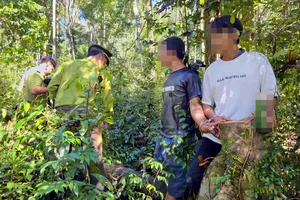 Bắt quả tang 2 người khai thác rừng trái phép tại Vườn quốc gia Phú Quốc