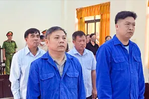 Xét xử cựu Giám đốc Vườn Quốc gia U Minh Thượng và 3 đồng phạm
