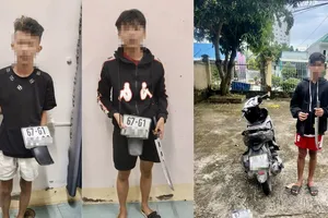 Bắt giữ 3 thanh niên 'chặt biển số' theo trào lưu trên TikTok