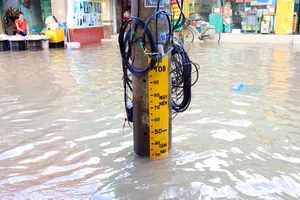 Mực nước đầu nguồn sông Cửu Long tiếp tục lên và đạt đỉnh trong 2 ngày tới