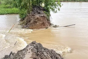 1 đoạn đê bao ở cồn Sơn bị vỡ, Cần Thơ xác lập kỷ lục đỉnh triều mới