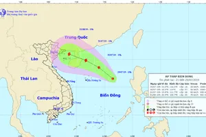 Vùng áp thấp đang xuất hiện trên biển Đông