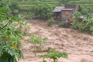 Thủ tướng yêu cầu khẩn trương khắc phục hậu quả do bão số 3