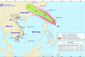 Bão Bailu giật cấp 12 đang ở gần biển Đông