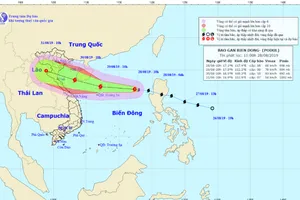 Bão số 4 đe dọa các tỉnh miền Trung