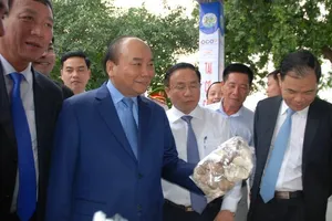 Thủ tướng tham quan triển lãm 10 năm xây dựng nông thôn mới