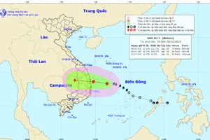 Chiều nay bão số 5 đổ bộ Quảng Ngãi - Khánh Hòa