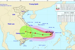 Thủ tướng yêu cầu ứng phó khẩn cấp với bão số 6