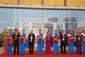 Bụi mịn có thể gây đột quỵ não, bệnh về tim mạch