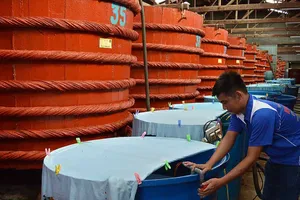 Phó Thủ tướng yêu cầu giải quyết việc thành lập hội nước mắm