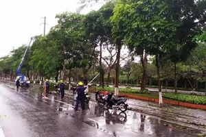 Ngành điện làm việc xuyên tết khắc phục sự cố do mưa đá