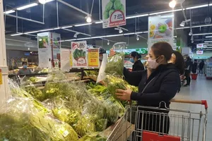 Giá rau củ và nguồn cung tại siêu thị Big C Hồ Gươm không có biến động so với trước tết. Ảnh: AH