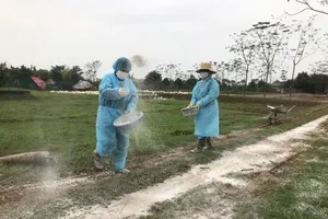 Xuất hiện 34 ổ dịch cúm gia cầm trên cả nước 