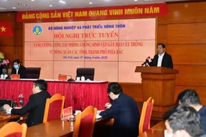 Tập trung phòng, chống dịch hại ở vụ lúa đông xuân phía Bắc