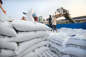 Phó Thủ tướng yêu cầu các bộ báo cáo vụ mở tờ khai lúc nửa đêm