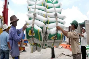 Bộ Công Thương hỏa tốc xin ý kiến xuất khẩu gạo nếp