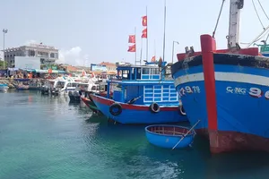 Tàu cá của ngư dân Việt Nam neo đậu tại cảng cá Lý Sơn, Quảng Ngãi. Ảnh: TẤN VIỆT