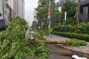 Áp thấp nhiệt đới có thể đi vào biển Đông, mạnh lên thành bão