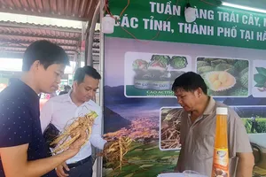 Bất chấp COVID-19, nông sản Việt xuất siêu gần 3,3 tỷ USD