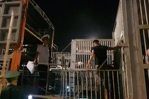 Trong đêm, heo sống Thái Lan ồ ạt đổ vào Việt Nam