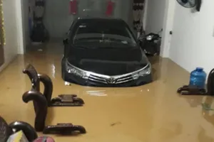 5 người chết, 2 nhà máy thủy điện bị vùi lấp vì mưa lớn