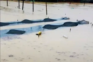 Hai người ở Điện Biên bị lũ cuốn