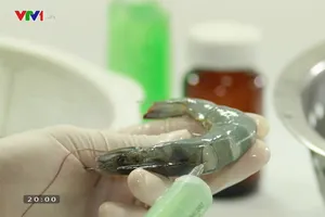 VASEP khiếu nại VTV dùng tôm minh họa cho thực phẩm bẩn