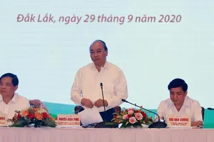 Thủ tướng: Phải làm rõ vì sao trồng mắc ca không ra trái