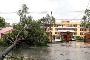 Bão số 9 gây mất điện toàn bộ Quảng Ngãi