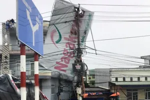 Tổng Giám đốc EVN: Sớm cấp điện trở lại sau bão số 9