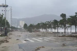 Xuất hiện bão ở Thái Bình Dương, có khả năng vào biển Đông