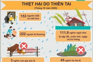 10 tháng, thiệt hại 10,1 nghìn tỷ đồng vì thiên tai