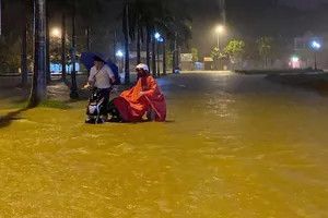 Khẩn: Yêu cầu đảm bảo hệ thống đê điều ở Nghệ An, Hà Tĩnh