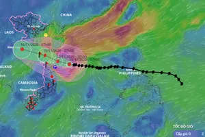 Ứng phó với bão số 13: Dự kiến sơ tán đến gần 470.000 người 