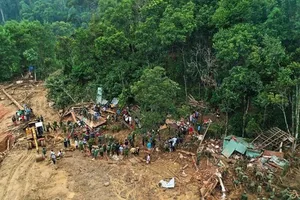 Một loạt địa phương xin chuyển mục đích sử dụng rừng tự nhiên