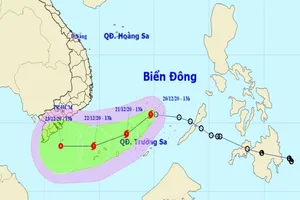 Áp thấp nhiệt đới mạnh lên thành bão số 14 trên Biển Đông 