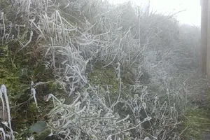 Miền Bắc chìm trong giá lạnh, nhiều tỉnh còn 8,6 độ