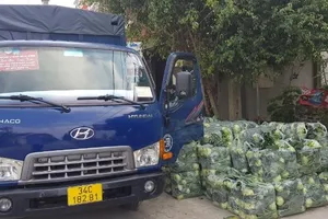 Giải cứu hàng chục ngàn con gà, quả trứng... ở Hải Dương