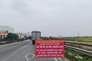 Lý do xe chở rau từ Hải Dương đi Hải Phòng phải quay trở lại