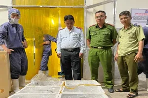 Kiên Giang: Phát hiện cơ sở kinh doanh tôm chứa tạp chất 