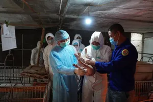 Phấn đấu xuất khẩu 50 triệu USD thuốc, vắc xin thú y mỗi năm