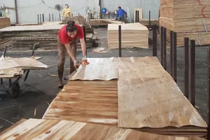  Kiến nghị kiểm soát giá ván gỗ bóc xuất khẩu qua Trung Quốc
