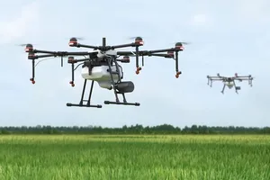 Thuê máy bay không người lái phun thuốc cho lúa vùng phong tỏa